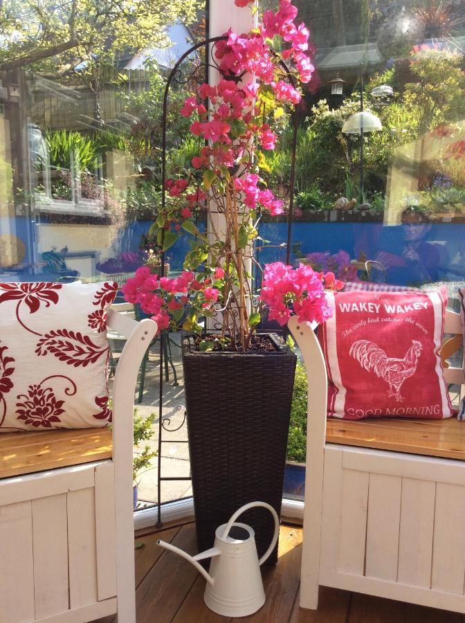 The Great Grubb Bed & Breakfast Totnes Ngoại thất bức ảnh